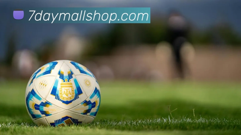 mksports最新官网平台生态图