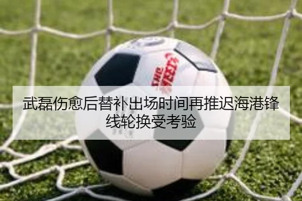 武磊伤愈后替补出场时间再推迟海港锋线轮换受考验
